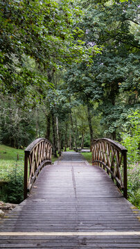 Wooden bridge in a lush galician forest leading to a path