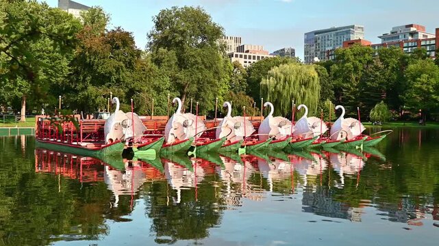 The Boston Public Garden with the famous Swan Boat on a sunny summer day.