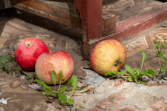Three ripe organic apples lying on rustic threshold outdoors horizontal