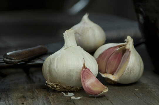 Garlic bulbs and garlic clove