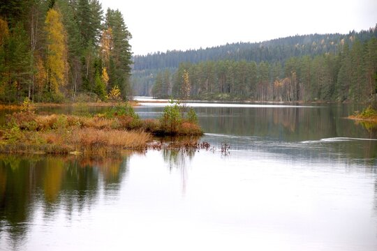 Peaceful forest lake in autumn at Finnskogen, Norway