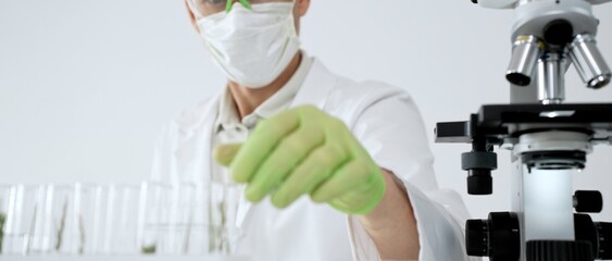 Scientist wearing personal protective equipment examining plant samples in a laboratory, performing...