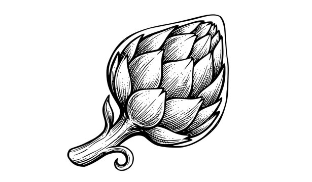 Artichoke Side Profile Retro Engraved Black White Vector Art