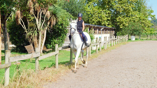Beautiful young girl on a white horse at an equestrian farm