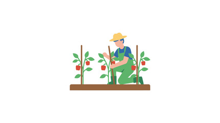 Fototapeta premium Minimalist of Gardener Tending to Tomato Plants in Raised Planter Box with high quality professional line art symbols for modern creative design and digital branding projects