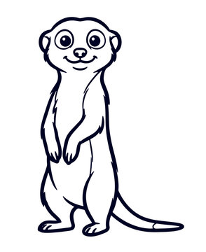 Meerkat Standing Alert on Ground Vector Line Art Coloring Page Illustration