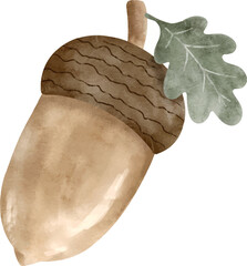 Acorn and Oak Leaves Watercolor Illustration © Alwanuna39