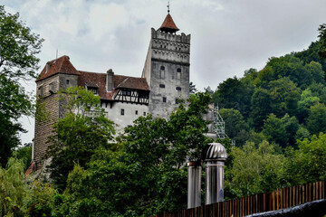 old castle in the city Bran © Darius