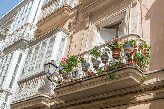 Colonical buildings at historic town centre of C&aacute;diz, Andalusia, Spain