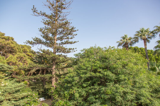 Parque Genov&eacute;s, C&aacute;diz, Andalusia, Spain