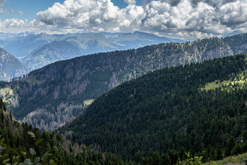 Fototapeta premium Alpine Forest Layers