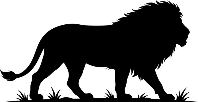 Black silhouette of a majestic lion walking on grass isolated on white background