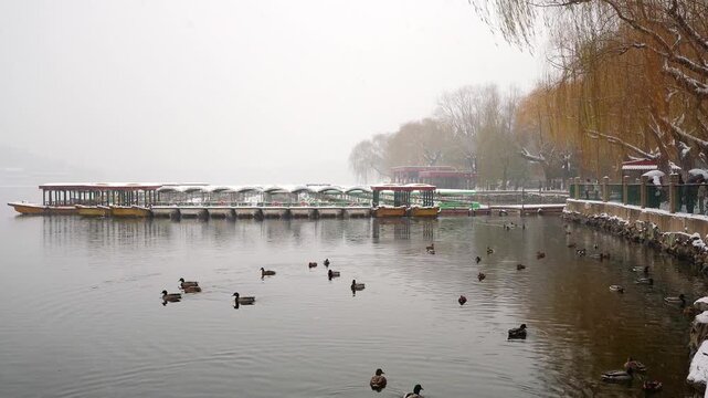 ** Frozen Lake Beihai Park Ducks on Snowy Dock in Beihai Park, Beijing, China