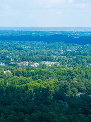 Fototapeta premium Aerial shot of buildings and trees in Augusta Georgia USA
