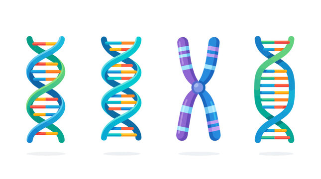DNA Icons set. DNA Structure molecule icon. Vector molecule. Chromosome icon. isolated white