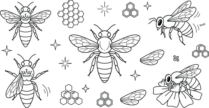 Honey Bee and Honeycomb Vector Graphic Set Featuring Queen Bee Icons Flying Insect Elements Sparkles and Flowers for Logo Brand Identity Layouts