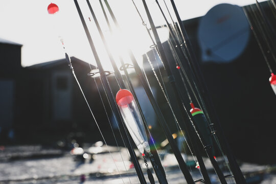 Fishing rods stand upright with red bobbers glowing in morning sunlight near the Egegik River, symbolizing readiness for Alaska&rsquo;s salmon season.