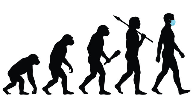 Human evolution sequence illustration showing primate progress towards modern man wearing a surgical face mask during a global viral pandemic