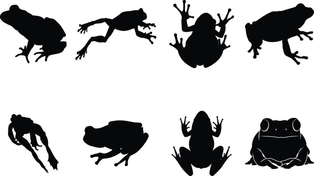 Black frog silhouette vector set of jumping amphibians, side and front view toad icons, dark wildlife graphics, spring nature symbol, detailed contour outlines on white background