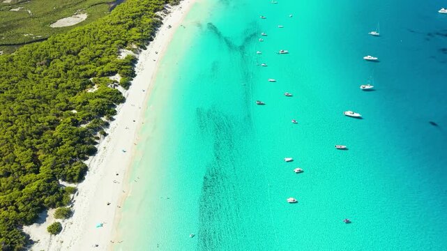 Plage de Saleccia Corsica drone top down flyover tilt up reveal tropical beach 4K. Aerial pine forest turquoise sea shoreline, white sand coastline pan showing anchored yachts . French island