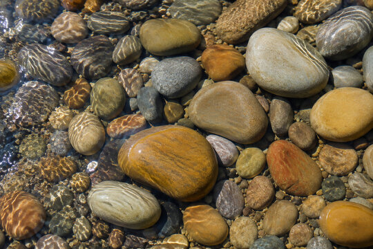Smooth kidney-shaped river stones resting in clear water, natural rounded forms with wet glistening surfaces under soft daylight.