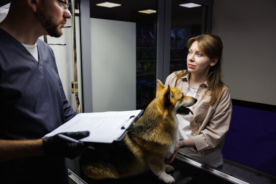 Owner caressing dog  and cropped male vet doctor looking at each other