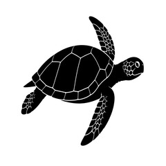 Obraz premium turtle on a white background