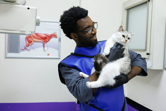 Happy young male veterinary doctor keeping and caressing furry cat