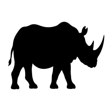 rhino silhouette isolated on white