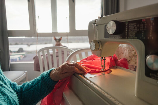 Senior woman enjoying sewing hobby at home with sphynx cat watching