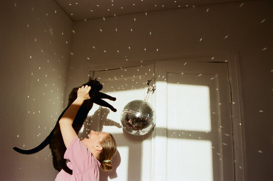 Playful moments with a cat and disco ball