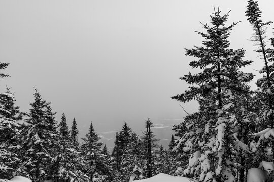 Vermont 84