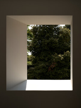 View Through a Square Window Showing a Green Tree Outside