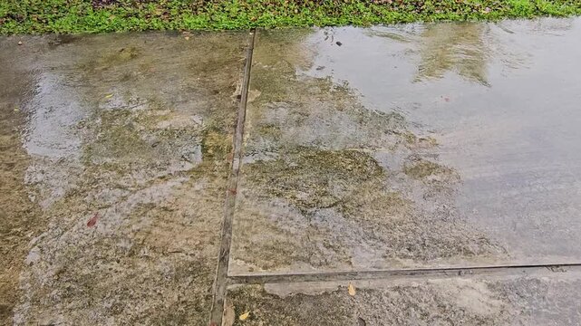 old stone wallPuddle water reflection,Wet concrete path beside green grass and foliage. Damp surface reflects sky and trees. Puddles form after recent rain. Grass edges border the concrete walkway. Na