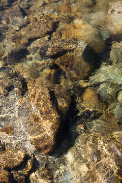 Detail of the crystal-clear water