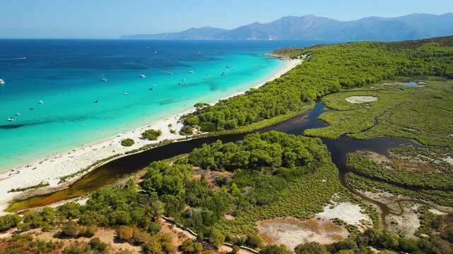 Saleccia white sand beach and pine forest aerial drone flyover in Agriates Corsica island France. Tropical turquoise sea river stream landscape 4K