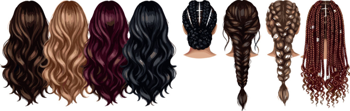 Woman hairstyle vector set from back view featuring long wavy hair and braided hairstyles including box braids and cornrows