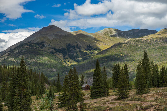 Mountain landscape with alpine forest