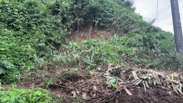 大雨被害 土砂崩れのイメージ