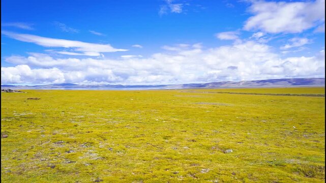 Vast Green Grassland Plain Under Blue Sky