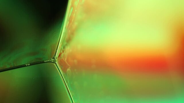 Glowing green and amber liquid vertex junction with geometric specular lines. A low-key macro photograph capturing a sharp geometric three-way vertex node in a liquid film structure.