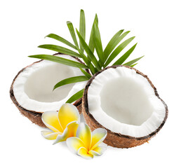 Coconuts, plumeria flowers and green palm leaves isolated on white © New Africa