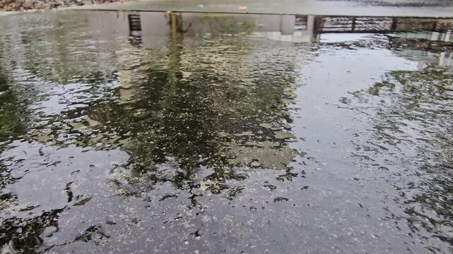 water flowing into the water,Puddle water reflection.Muddy water reflects a bridge and trees. Surface is textured with debris and algae. Reflections show calm, weathered surroundings. Environment sugg