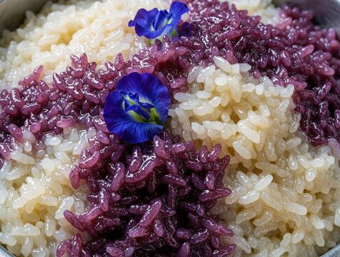 Traditional Pulut Tai Tai dessert with blue pea flower rice. Sweet glutinous rice steamed in coconut milk served as Peranakan snack. Blue, white rice grains decorated with fresh butterfly pea