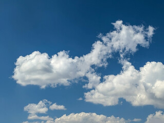 Fototapeta premium A big fluffy cloud with clear skies. A compound clouds slowly floats across the sky. Serenity and solitude. Calm and contemplation