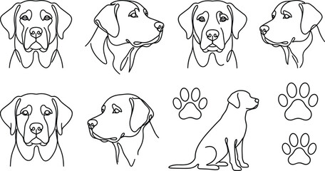 Fototapeta premium Labrador retriever dog head and paw print vector line art illustration set with sitting canine silhouette elements