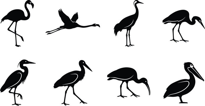 Wading bird silhouettes vector set featuring flamingo flying crane heron stork ibis pelican icons
