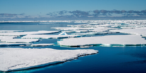 Fragmented sea ice floes drifting at Larsen A © Georg