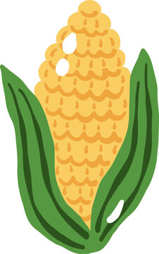 cute corn with husk vegetable food vector cartoon illustration