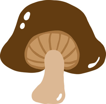 cute mushroom vegetable food vector cartoon illustration